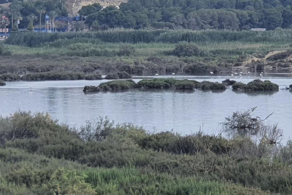 Encantador Relajante Naturista Torremar Vera Playa Esterno foto